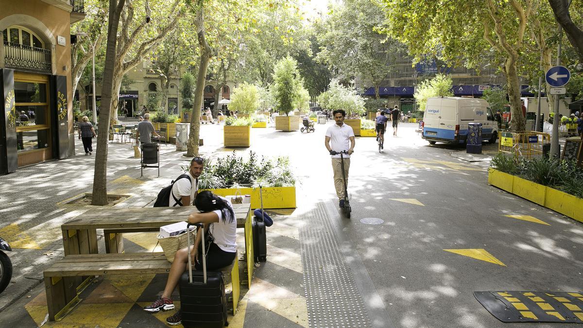 Barcelona 21/09/2022 Zona pacificada de la supermanzana de Sant Antoni en la calle del Comte Borrell, con parterres o grandes alcorques con árboles y flores y bancos donde los vecinos aprovechan para sentarse a descansar y charlar. Alrededor, la gente va caminando y haciendo sus compras Fotografia de JOAN CORTADELLAS