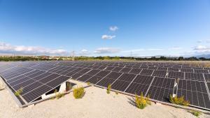 Planta fotovoltaica de Can Cabanyes, en Granollers.