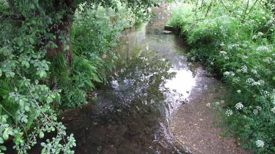 Un tramo del río Lameiriña en las cercanías del Sequelo