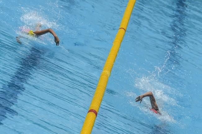 CAMPEONATO DE ESPAÑA DE NATACION