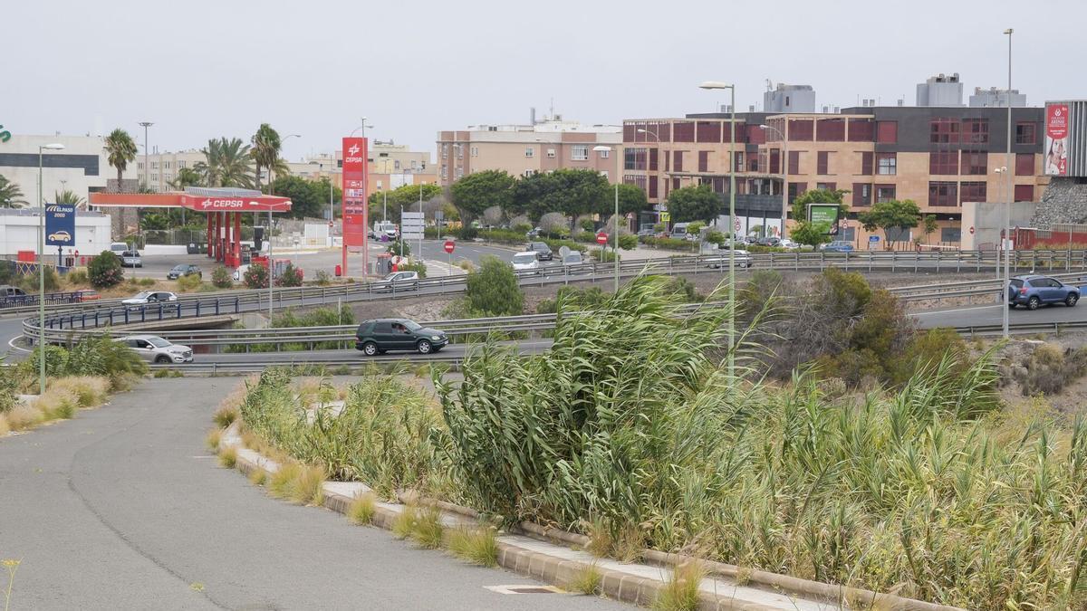 Avenida Felo Monzón