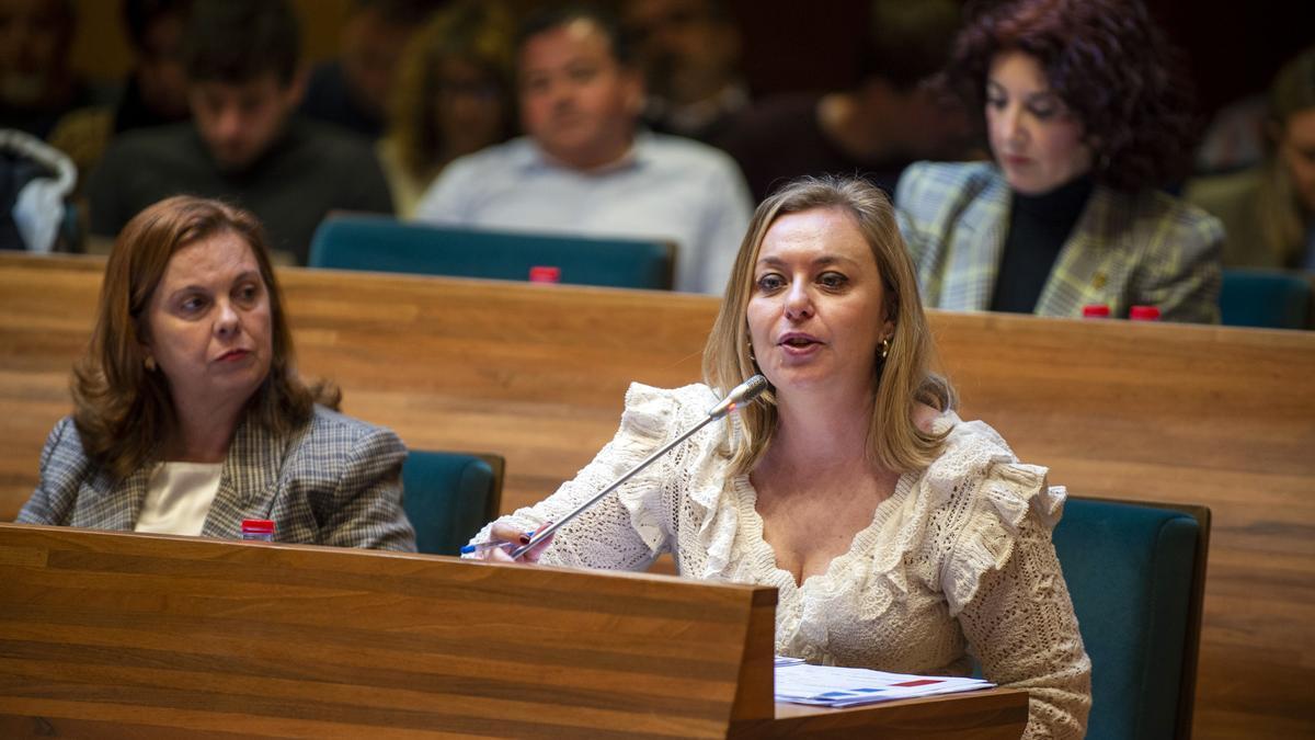 La vicepresidenta de la diputación, Natàlia Enguix, en el pleno de este martes.