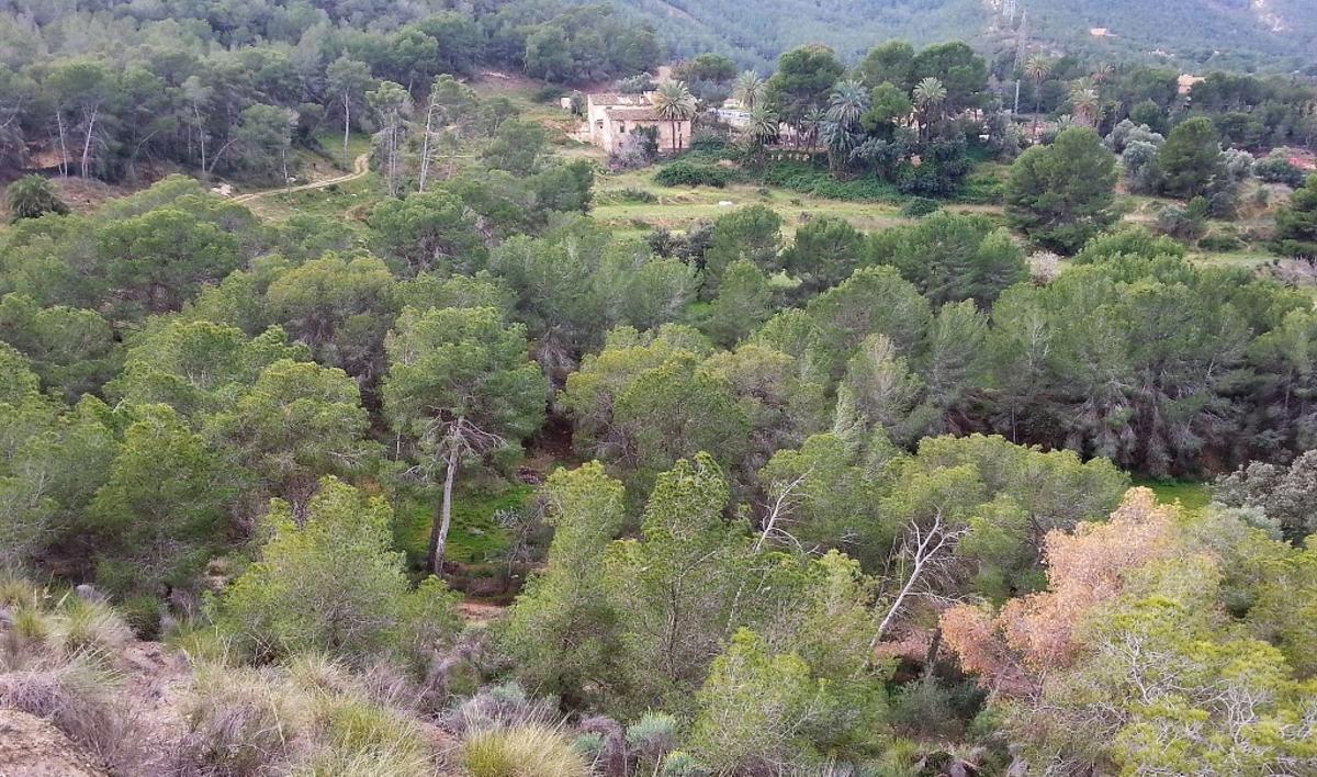 Foto de archivo del Valle Perdido