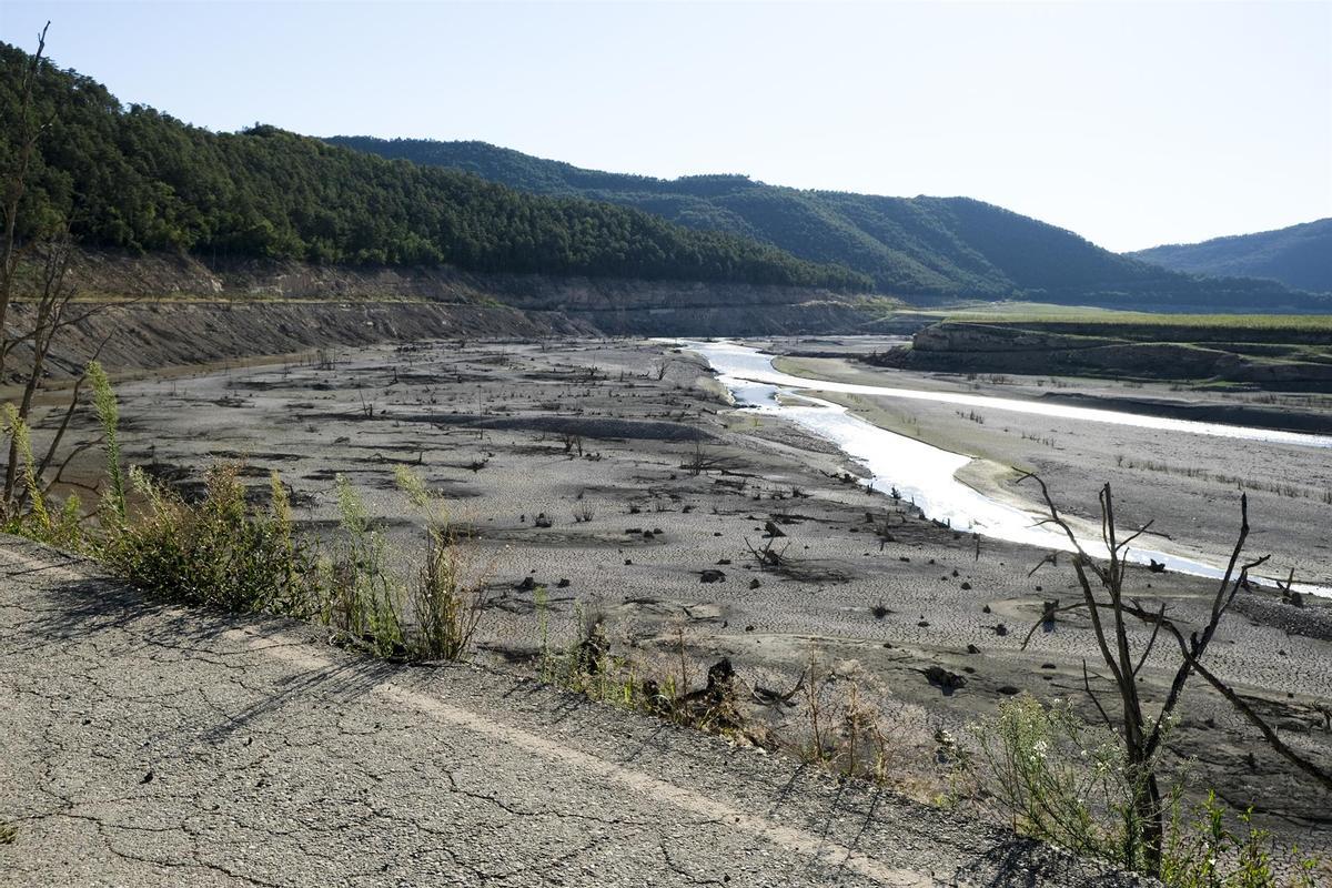 El calor extremo va apoderándose de más días al año
