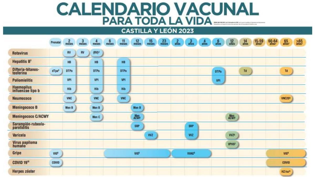 Calendario de vacunación en niños y adultos en Castilla y León