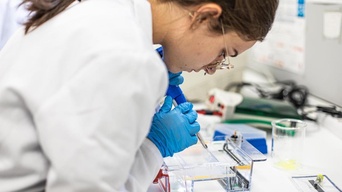 El Centro Docente Privado Salvador de Córdoba ofrece ciclos formativos de la rama sanitaria.