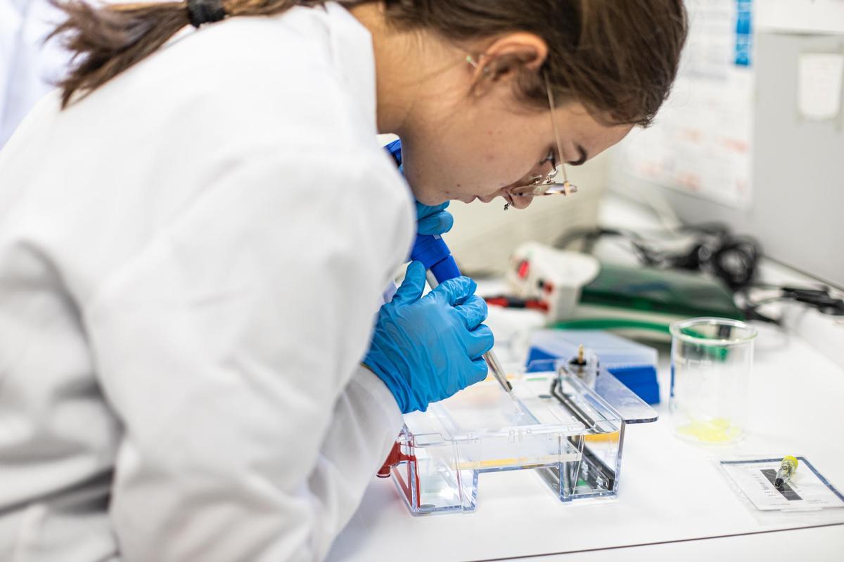 El Centro Docente Privado Salvador de Córdoba ofrece ciclos formativos de la rama sanitaria.