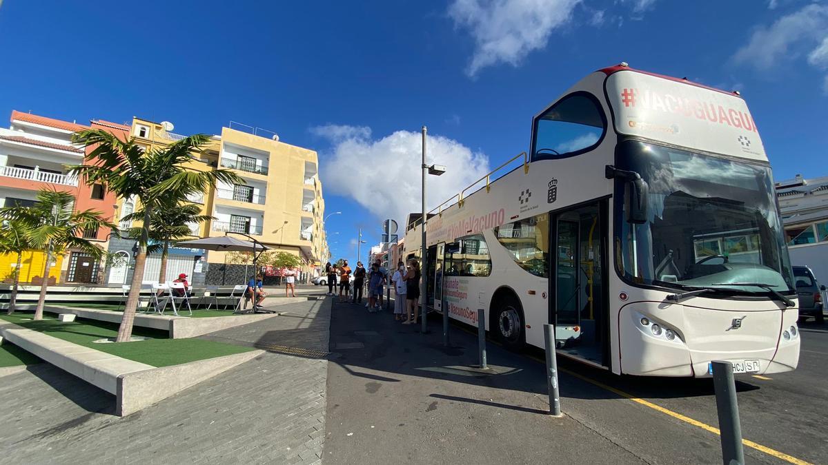 La ‘vacuguagua’, el pasado domingo, en Guía de Isora.