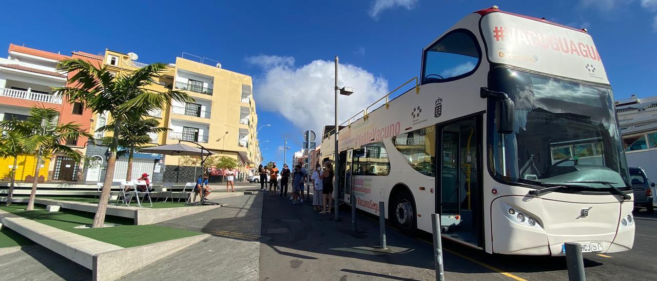 La ‘vacuguagua’, el pasado domingo, en Guía de Isora.