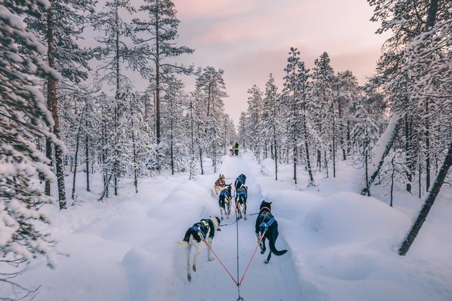 Pasear por la Laponia finlandesa sobre trineos