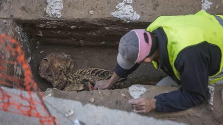 Los arqueólogos del Mercado necesitan seguir excavando