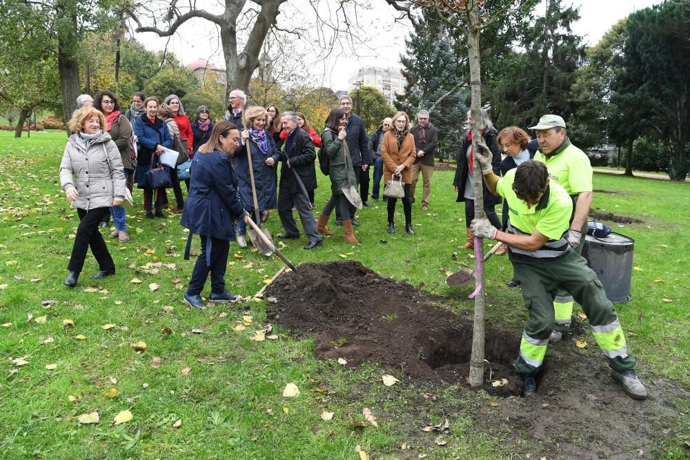 Las entidades que conforman la Plataforma Coruñesa de Voluntariado constan con un árbol que recuerda su labor a favor de la inclusión que realizan.