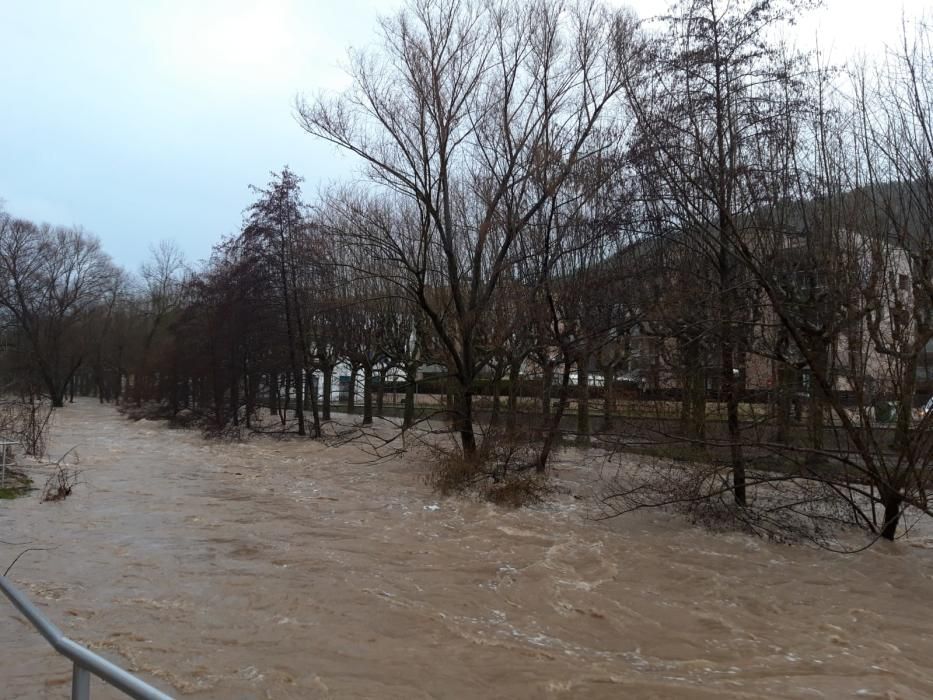 El riu Fluvià al seu pas per Olot