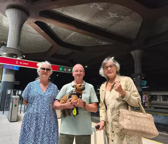 El AVE asturiano ya es más "dog friendly" y sus usuarios opinan ante la posibilidad de que viajen perros grandes: "Hay niños y personas que molestan mucho más"