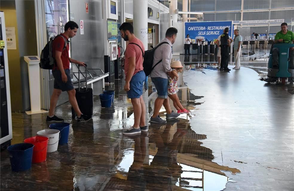 Efectos del viento huracanado en Zaragoza