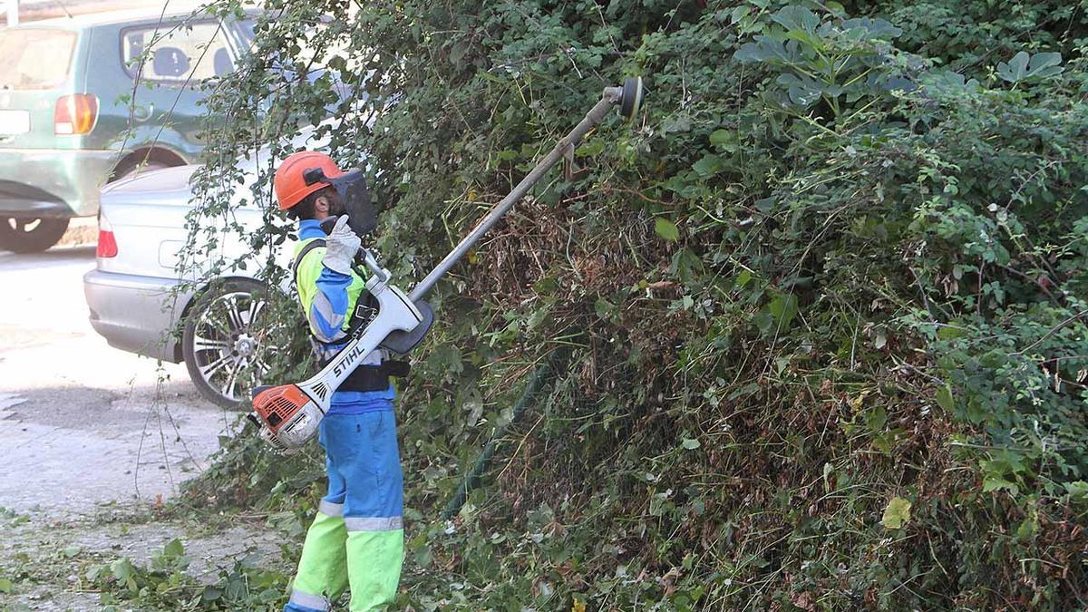 Un operario desbroza una finca