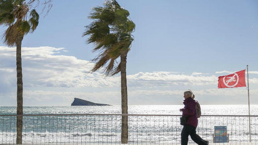 Viento en la playa de Poniente de Benidorm