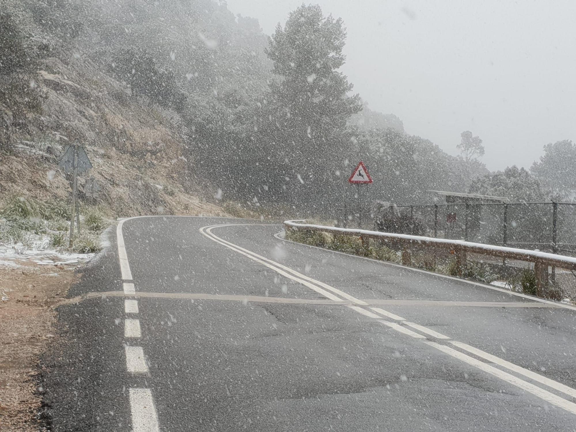 La nieve cae en la Serra