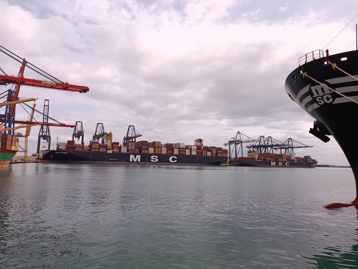 Un buque portacontenedores de la naviera MSC atracado en Valenciaport.