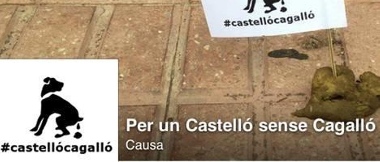 «Per un Castelló sense cagalló»