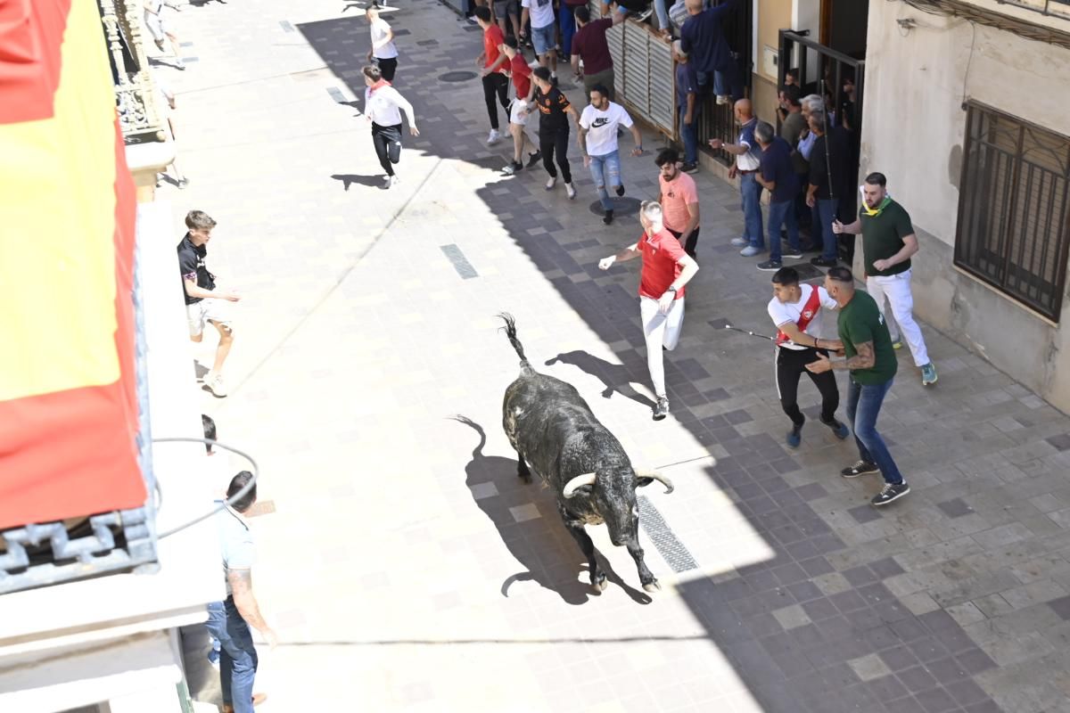 Galería | Almassora vibra con el encierro de cerriles de Gerardo Ortega