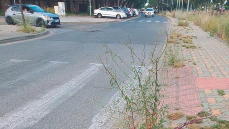 Mal mantenimiento de las calles de algunos barrios cordobeses