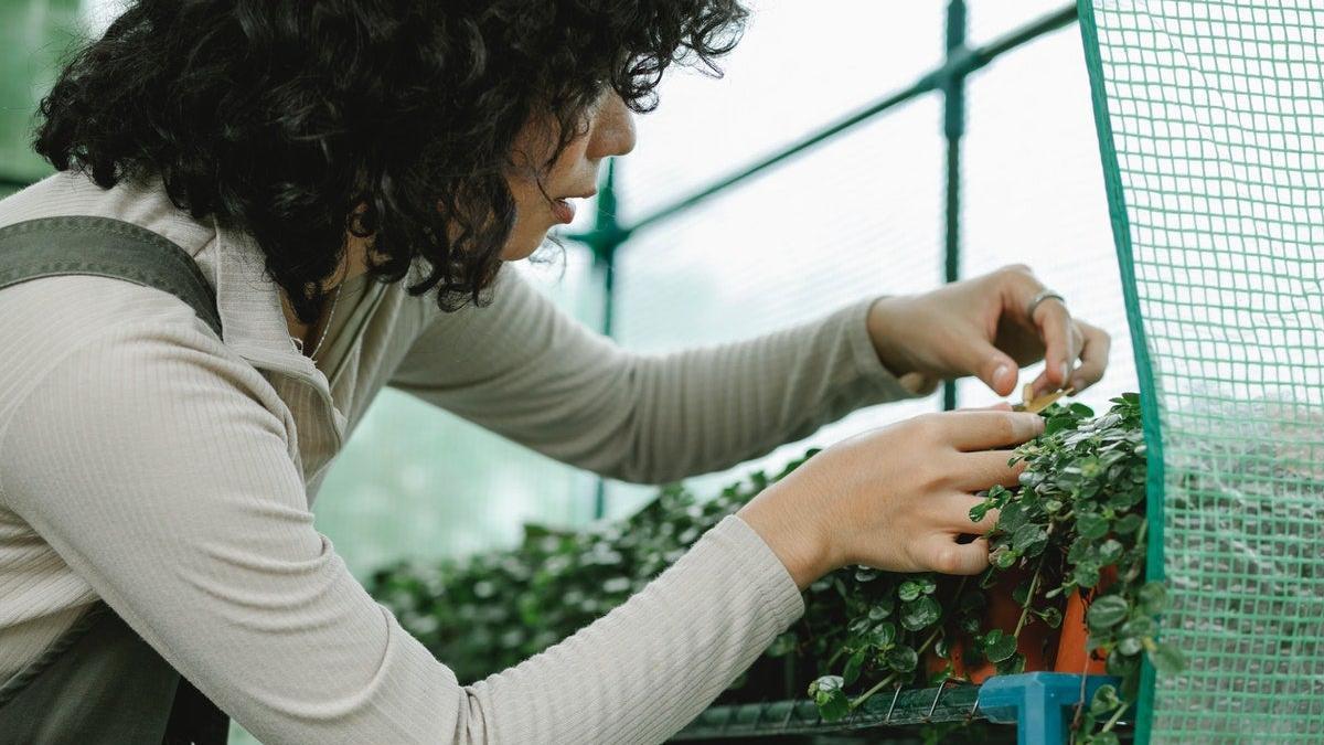 Monta un huertito sin salir de casa con estas mesas de cultivo