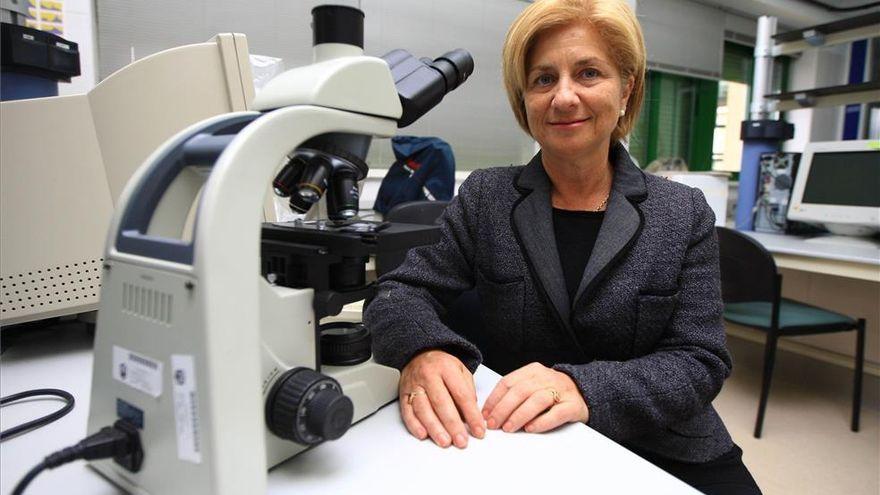 Carmen Galán, coordinadora de la Red Española de Aerobiología.