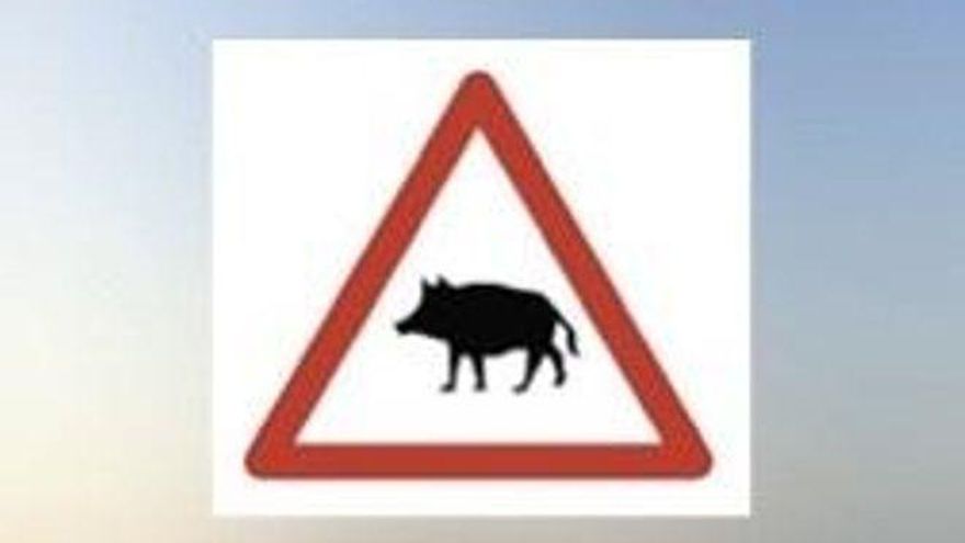 Mucho cuidado con la nueva señal de la DGT sobre animales