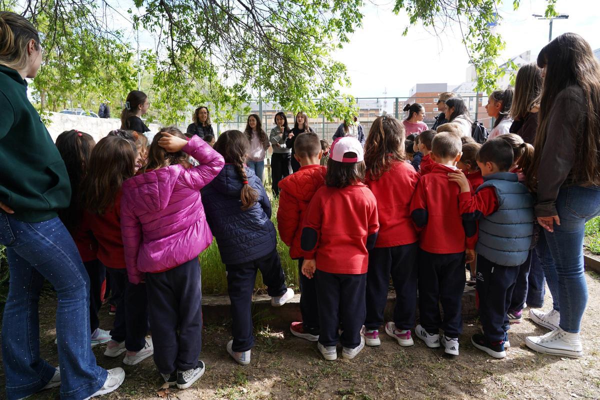 Proyecto educativo en el huerto del Campus Viriato Proyecto educativo en el huerto del Campus Viriato