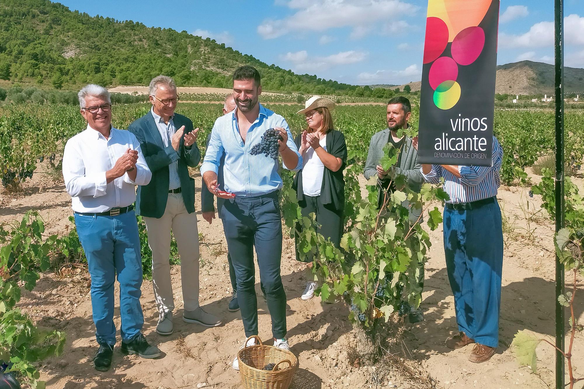 El vino afronta la campaña con menos producción y el temor a una caída de ventas