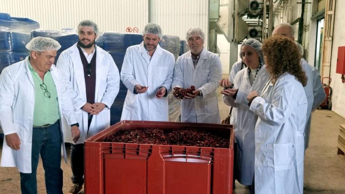 Un estudio analiza las cooperativas agrarias como base de Comunidades Energéticas