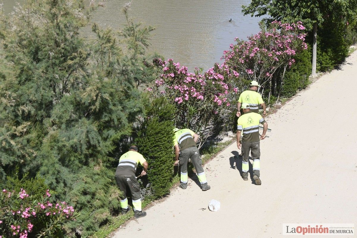Todas las imágenes del reto de limpieza del río Segura en Murcia