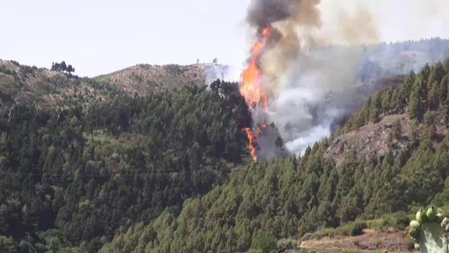El incendio de Gran Canaria ya ha arrasado más de 6.000 hectáreas