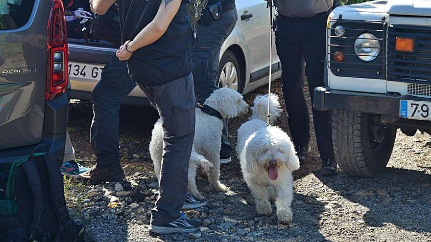 Junco y Dylan, ayer en el barrio terorense de Guanchía. | | JOSÉ CARLOS GUERRA