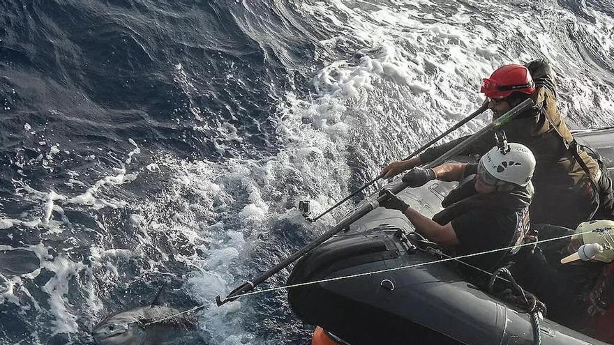 Cuota de pesca en el Mediterráneo para 2026: de la alerta a la esperanza