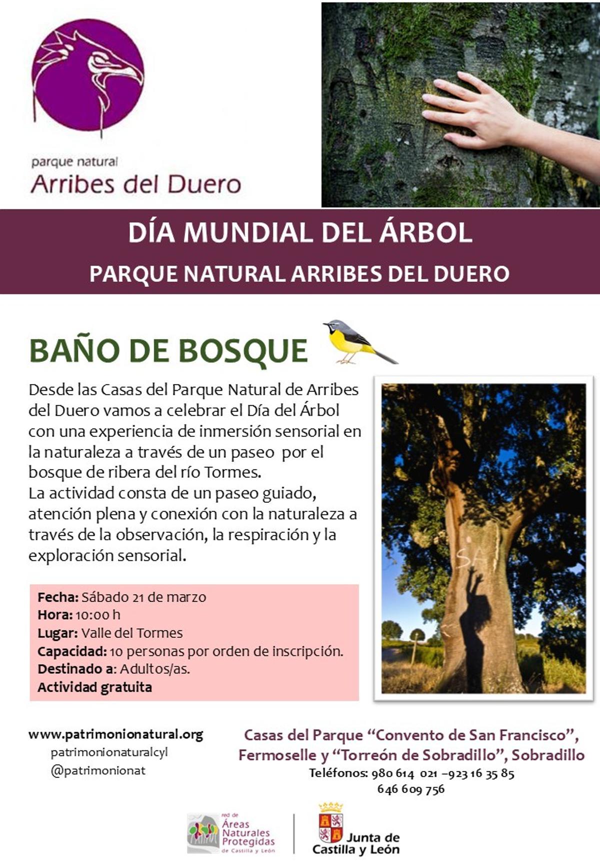 Cartel del Día del Árbol