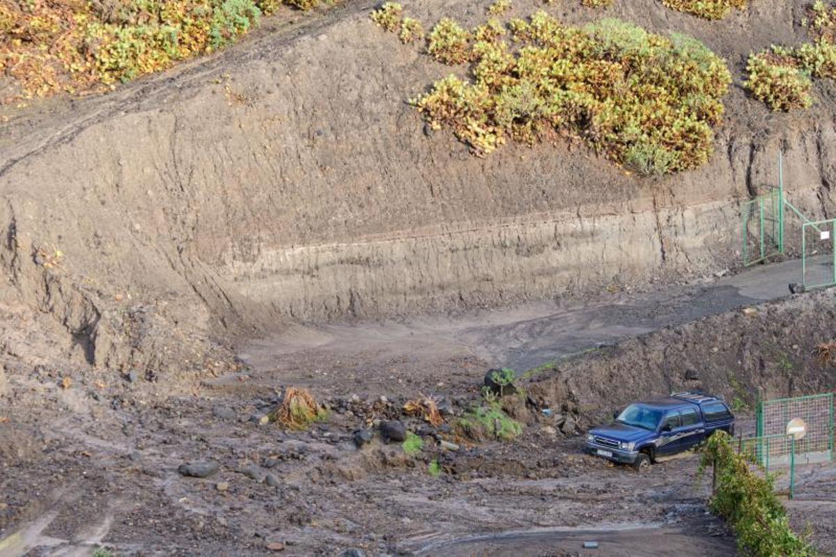 Rescatado de la granja de vacas a las tres de la mañana Rescatado de la granja de vacas a las tres de la mañana