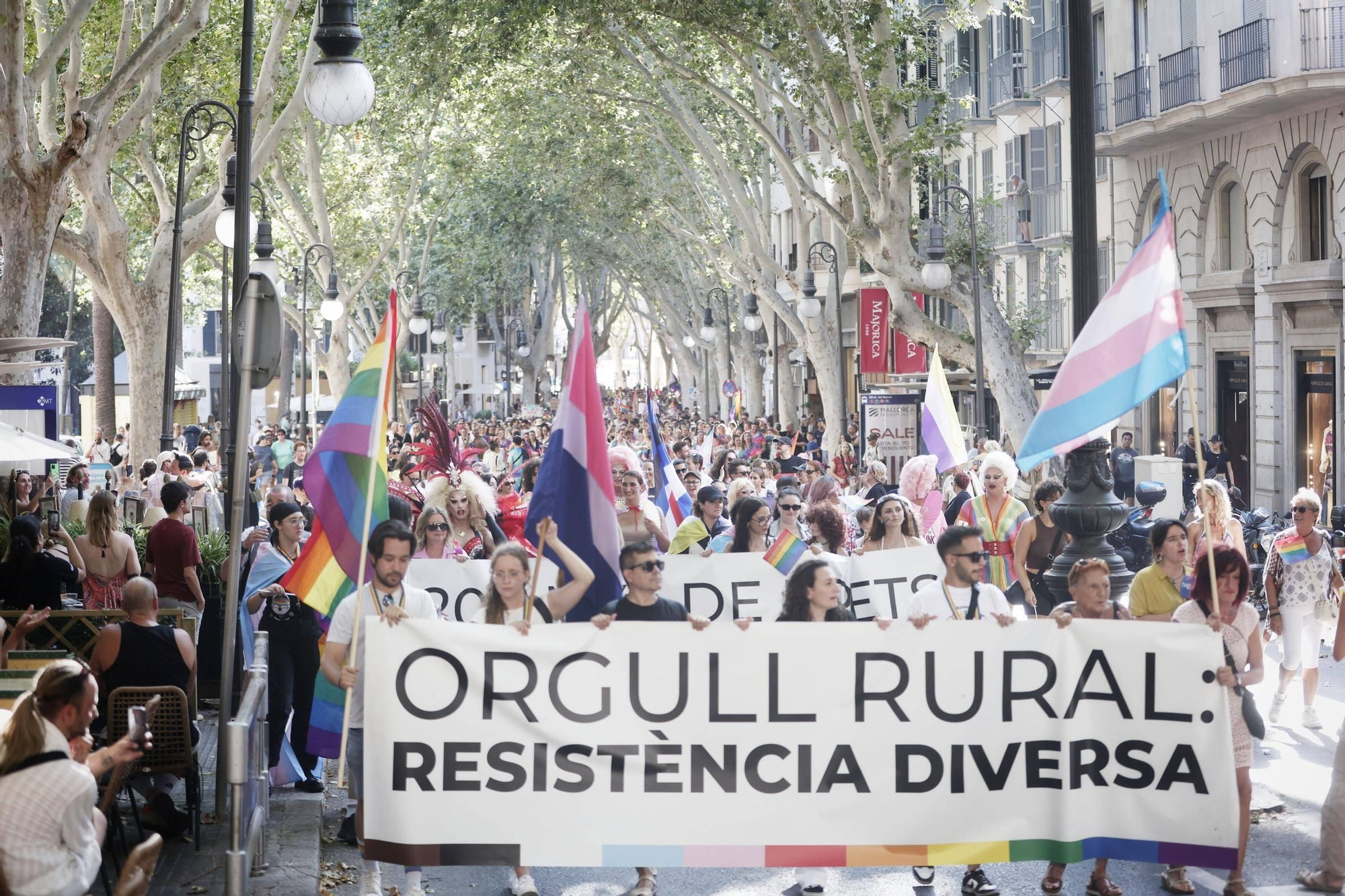 Orgullo 2025: las imágenes de las manifestaciones de Palma
