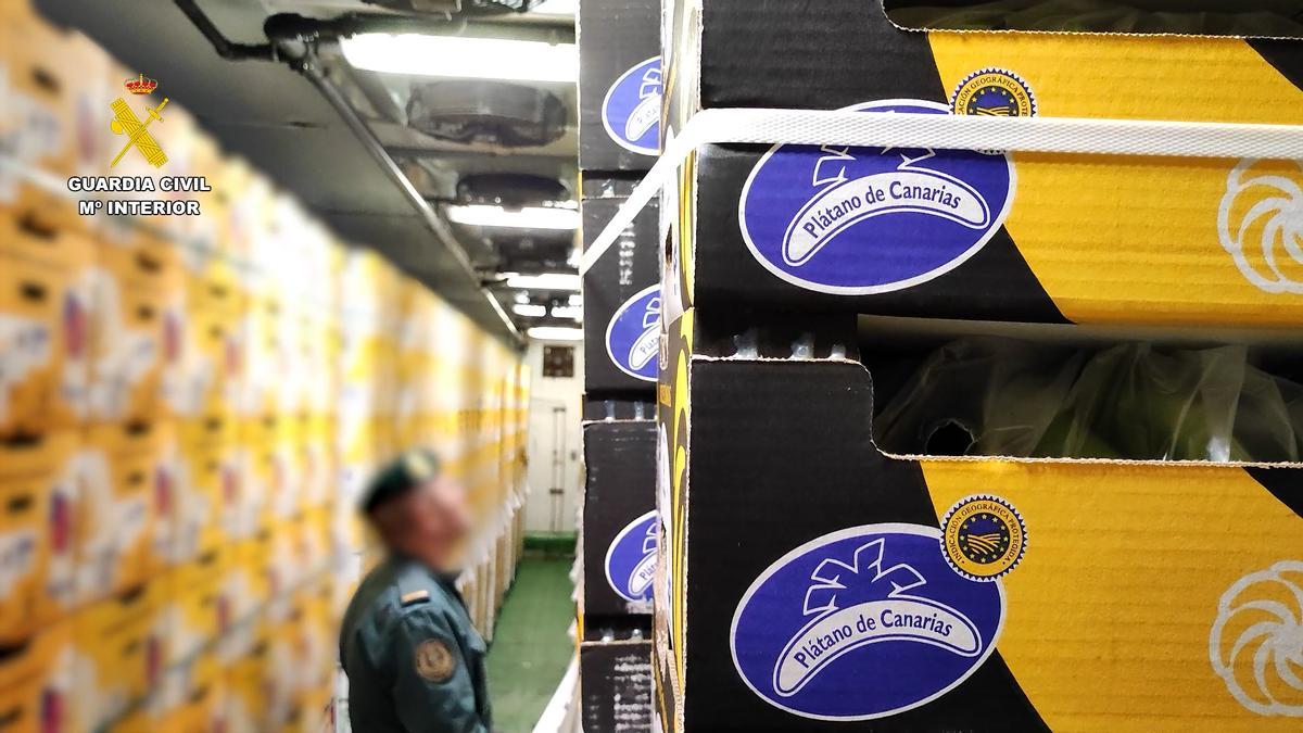 Imagen de una inspección del Seprona en Alicante donde no se detectaron irregularidades