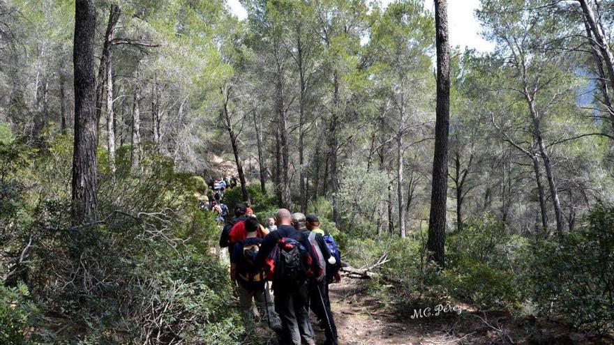 Las excursiones son una opciÃ³n sana y gratuita para la Semana Santa.