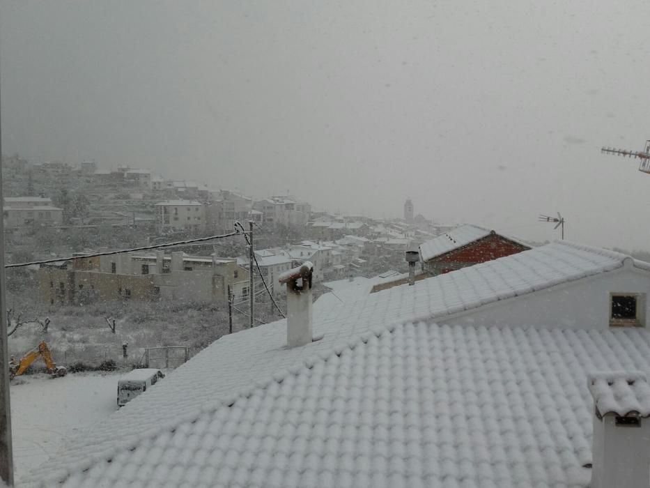 Una fina capa de nieve ha cubierto las playas, los techos de los vehículos, zonas verdes y tejados de Torrevieja, Orihuela Costa y Pilar de la Horadada