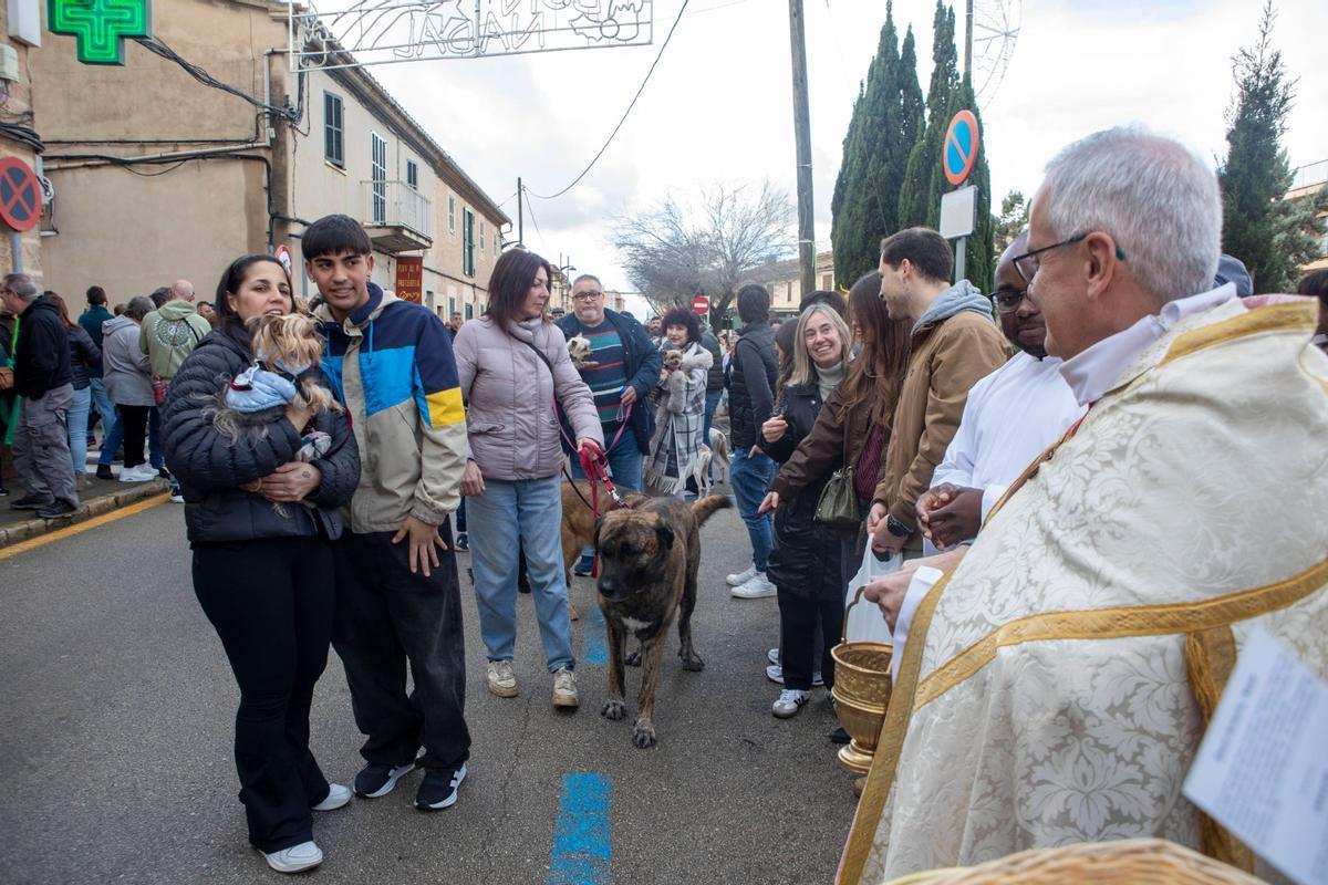 Beneïdes en Pòrtol.