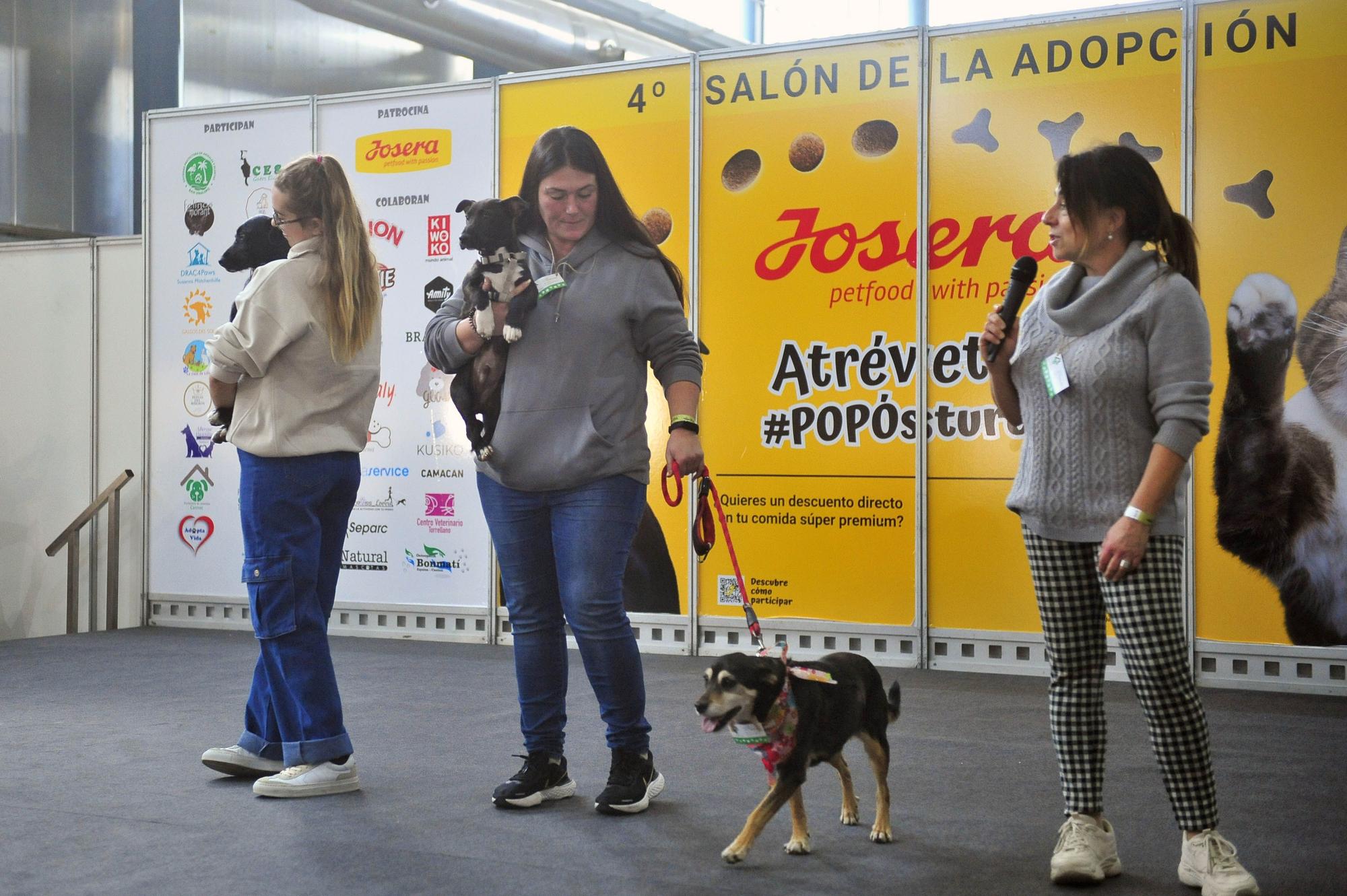 Amor por los animales en IFA