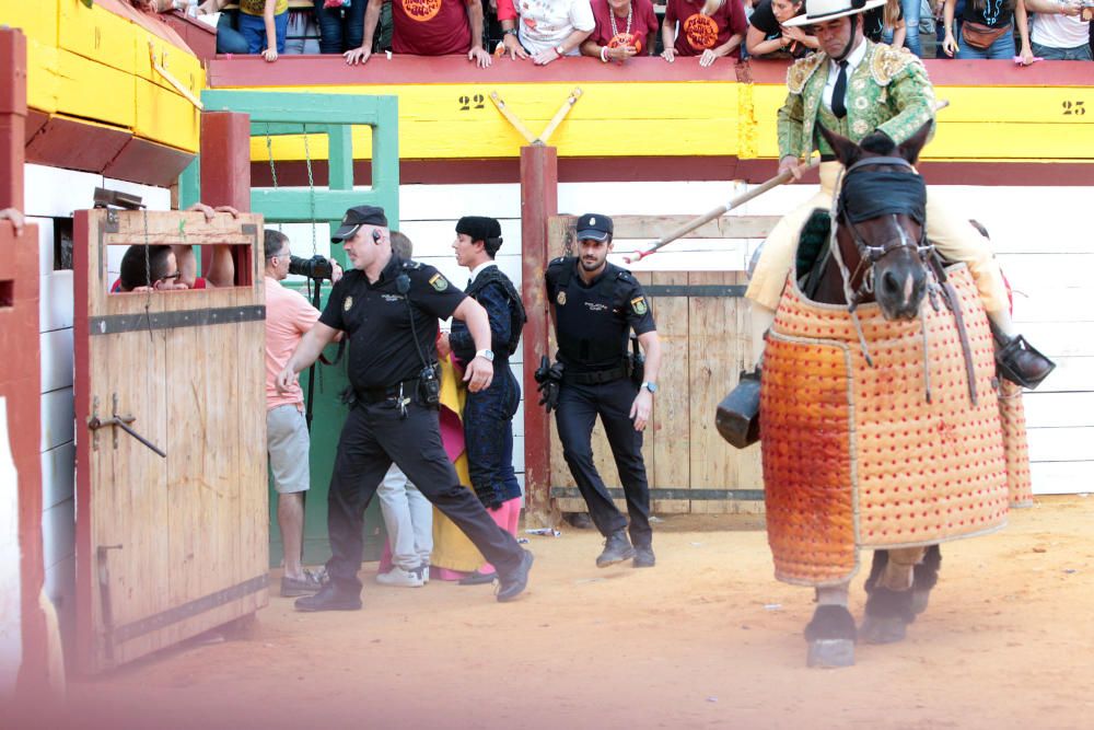 Un novillo se escapa y siembra el pánico en Algemesí