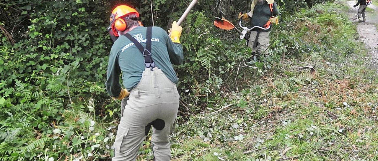 Tres operarios realizando tareas de limpieza forestal en el concello de Moaña. |   // RAFA VÁZQUEZ