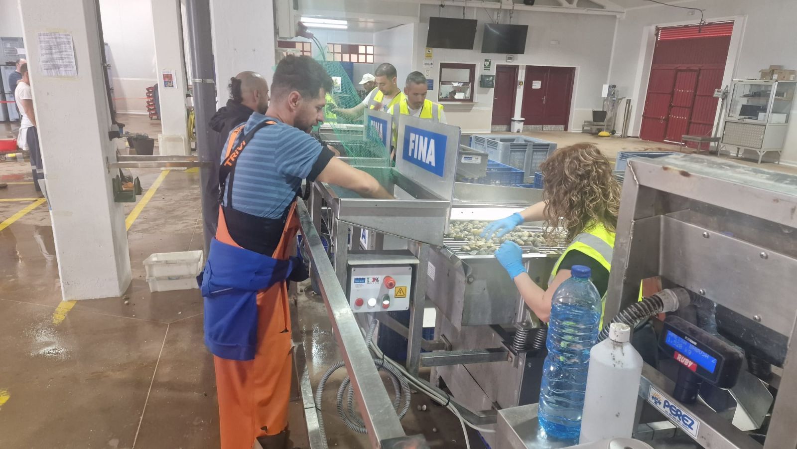 Así es el día a día en el puerto y la lonja de O Testal (Noia), donde cada vez se dan cita más mariscadores arousanos.