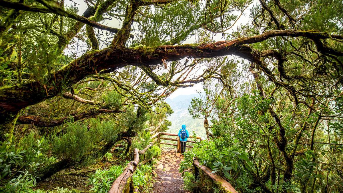 Garajonay y la leyenda del amor trágico: un paseo por la gran joya de La Gomera