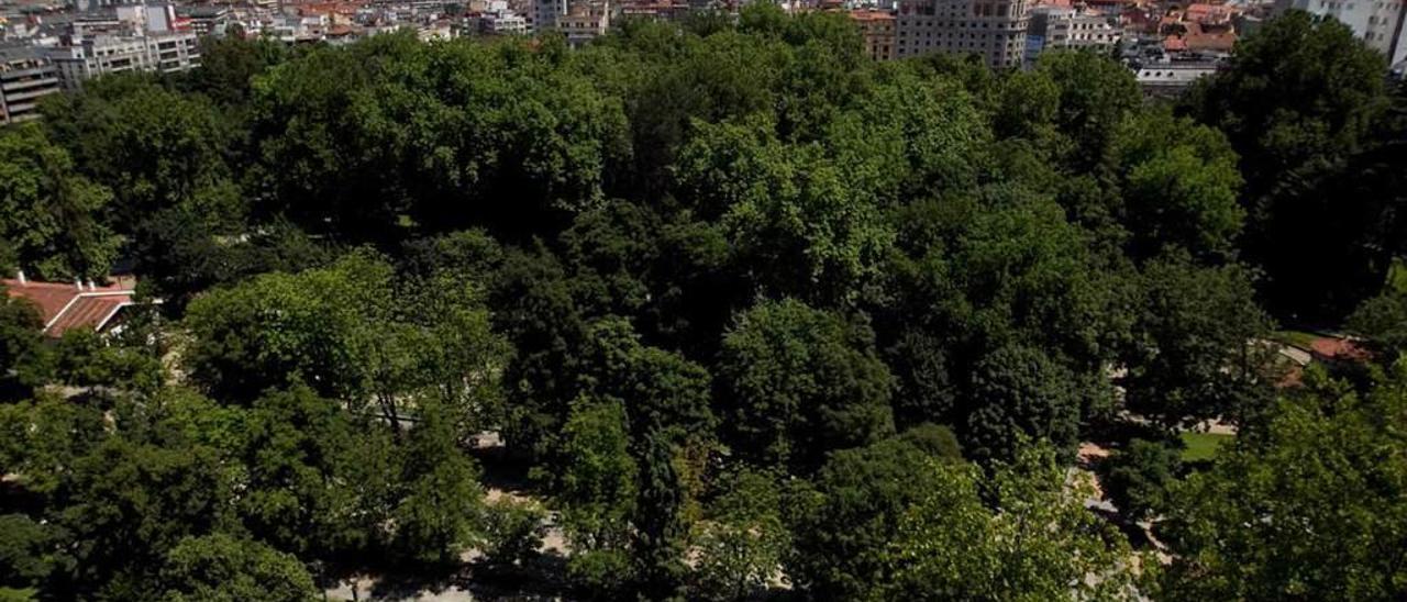 El Campo San Francisco, visto desde la torre de la iglesia de los Carmelitas, en la calle Santa Susana.