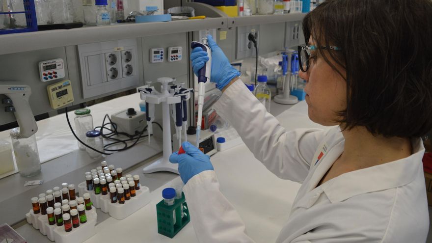 El Hospital General de Elche impulsa un estudio para frenar el inicio de la diabetes tipo 1
